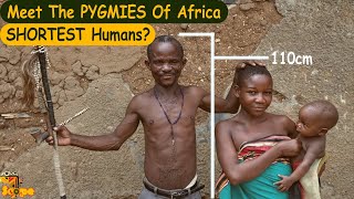 Discover the African Pygmies  Shortest humans in the world [upl. by Oisorbma]