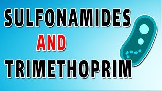 Sulfonamides and Trimethoprim [upl. by Ayocal146]