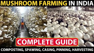 MUSHROOM FARMING  MUSHROOM CULTIVATION in India  Composting Spawning Casing Pinning Harvesting [upl. by Nelia72]