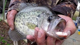 Crappie Fishing With A Bobber and Live Minnows [upl. by Berrie464]