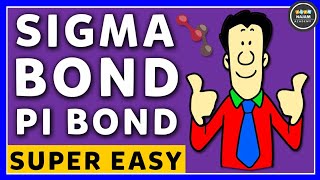 Pi and Sigma Bonds  Chemistry [upl. by Anaidiriv]