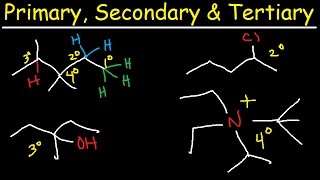 Primary Secondary Tertiary amp Quarternary Hydrogen and Carbon Atoms [upl. by Atiuqrahc846]