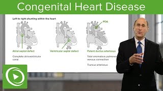 The Easy Way to Understand Congenital Heart Disease 🫀  Cardiology [upl. by Englis]