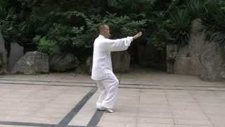 Chen Style TaiChi 18 Forms Demonstration [upl. by Ennayelsel42]