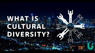 What is cultural diversity  Language Insight [upl. by Harvey]