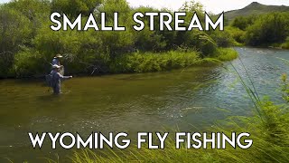 Small Stream Fly Fishing  Sheridan Wyoming [upl. by Ringe]