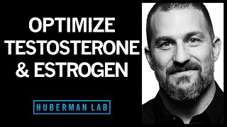 TESTOSTERONE How To Increase Testosterone amp Its Effects Naturally Boost Low Levels [upl. by Ardiek]