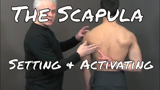 Setting and Activating the Scapula  Ask Dr Abelson [upl. by Edniya]