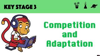 Competition and Adaptation [upl. by Trebor]