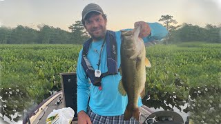 Largemouth Bass on the Chickahominy River [upl. by Lanrev]