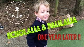 Autistic Speech Patterns – Autism amp Echolalia Palilalia amp Verbal Stimming [upl. by Cherise]