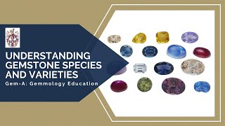 GemA Live Understanding Gemstone Species and Varieties [upl. by Yelekreb90]