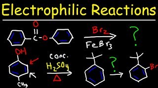 Electrophilic Aromatic Substitution Reactions Made Easy [upl. by Ainolloppa]