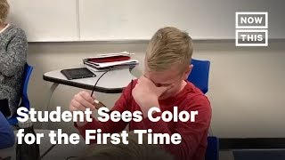 Student Sees Color for First Time With EnChroma Glasses  NowThis [upl. by Eisaj773]