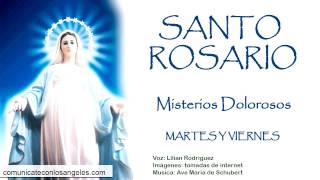 SANTO ROSARIO  Misterios Dolorosos  Martes y Viernes [upl. by Neenaj187]