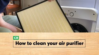 How to Clean an Air Purifier  Consumer Reports [upl. by Xaviera]