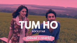 Tum Ho  Mohit Chauhan Rockstar slowed  reverb [upl. by Noitna]