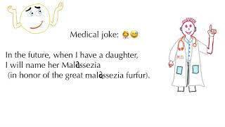 Medical Joke 1 Malassezia furfur Tinea Versicolor [upl. by Siward981]