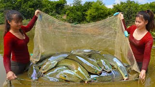 Harvesting A Lot Of Big Fish Goes To Market Sell  Take Care Chicken And Pig  Tiểu Ca Daily Life [upl. by Yelekreb]