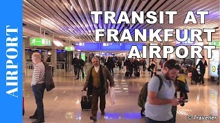 TRANSIT WALK AT FRANKFURT Airport FRA Terminal 1  Connection Flight Transfer Arriving amp Departing [upl. by Atniuqal]