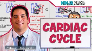 Cardiovascular  Cardiac Cycle [upl. by Mair872]