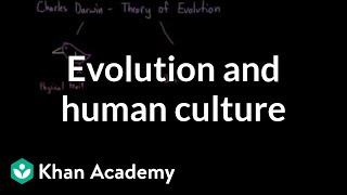 Evolution and human culture  Society and Culture  MCAT  Khan Academy [upl. by Mcmahon]