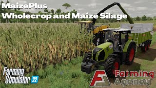 Wholecrop and Maize Silage  MaizePlus  FS22 [upl. by Sawyere]