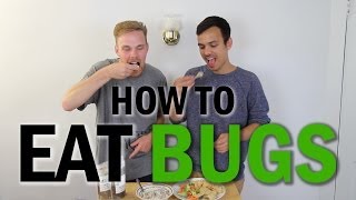 How To Eat Bugs [upl. by Nepean]