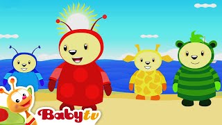 Lots of Colours 🎨  The Picaro Show  BabyTV [upl. by Allys]