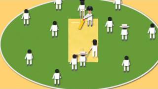 How to Play Cricket [upl. by Cornelle]