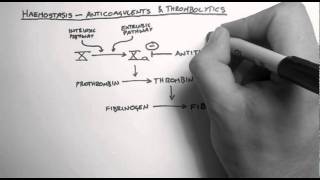 Haemostasis 3  Anticoagulants amp Thrombolytics [upl. by Franzen]